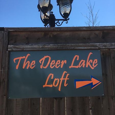 The Deer Lake Loft Екстериор снимка